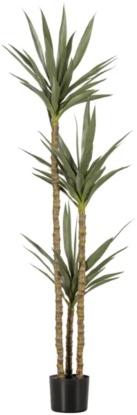 Yucca, Konstväxt, grön, H155x70x70 cm